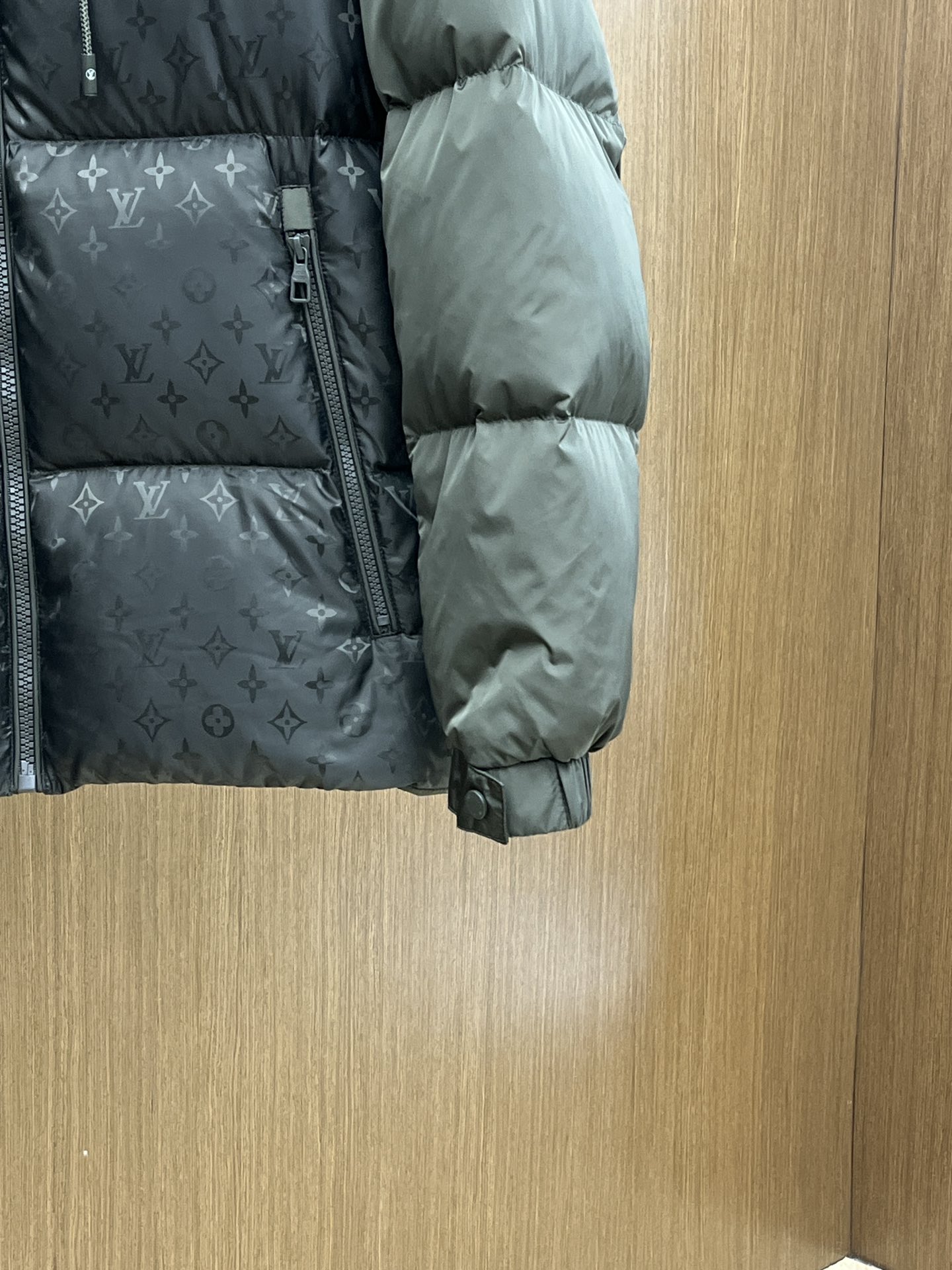 Louis Vuitton Down Jackets